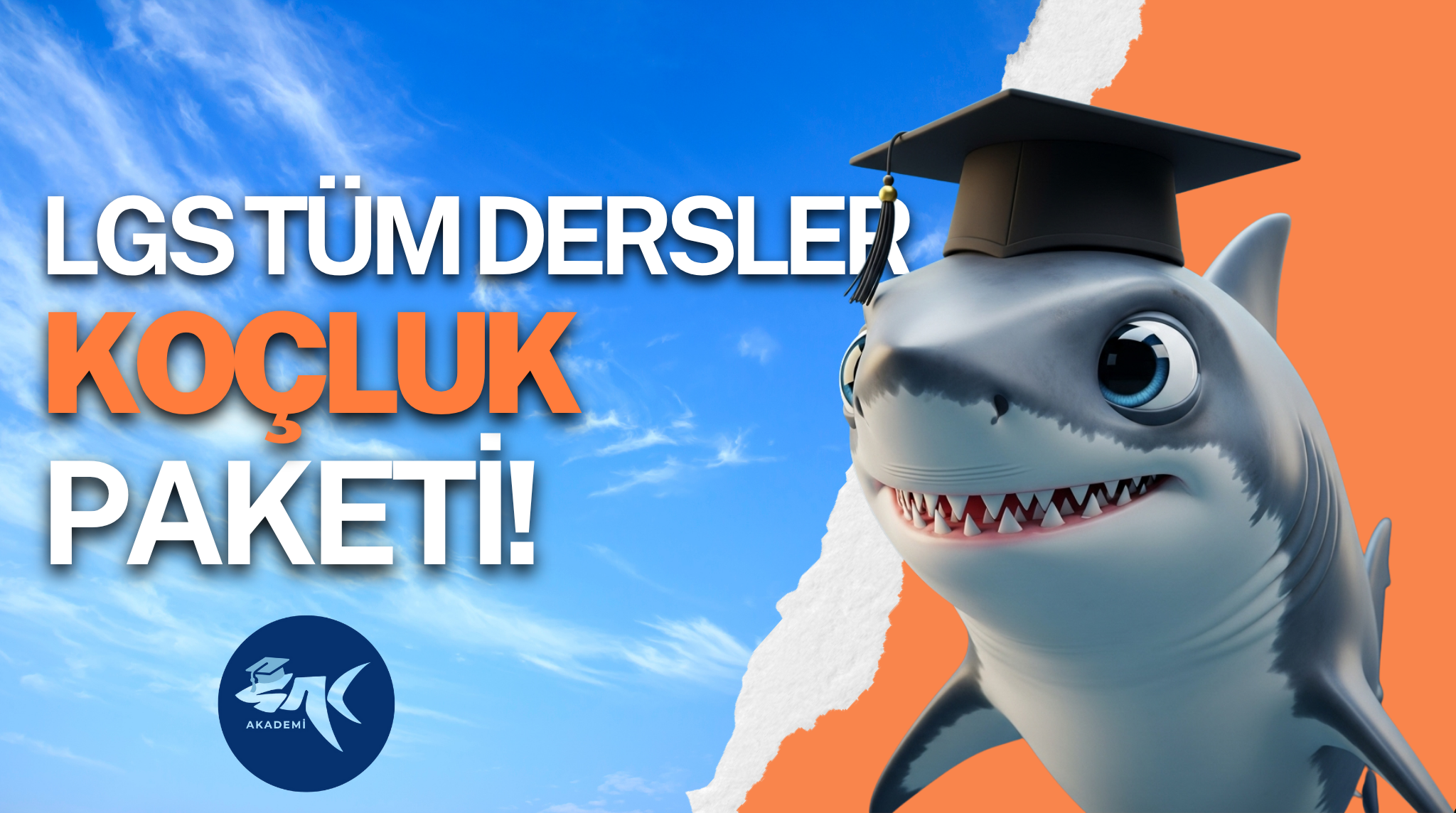 LGS Tüm Dersler Koçluk Paketi Banner